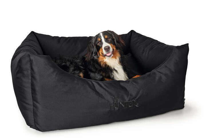 HUNTER Hundesofa Gent
